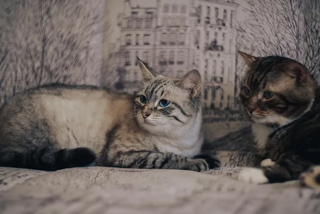 Fryzury na randkę - romantyczne i kobiece stylizacje włosów